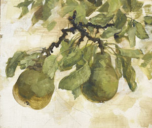 Two Pears on Twig II